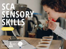 Load image into Gallery viewer, SCA Sensory Skills Foundation