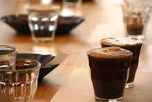 Load image into Gallery viewer, SCA Roasting Skills Professional