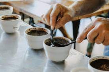 Load image into Gallery viewer, SCA INTERMEDIATES BUNDLE: BARISTA, BREWING, ROASTING & SENSORY