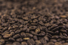 Load image into Gallery viewer, SCA ROASTING SKILLS BUNDLE: FOUNDATION & INTERMEDIATE