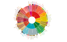Load image into Gallery viewer, SCA SENSORY SKILLS BUNDLE: FOUNDATION & INTERMEDIATE