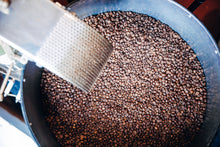 Load image into Gallery viewer, SCA ROASTING SKILLS BUNDLE: FOUNDATION & INTERMEDIATE