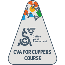 Load image into Gallery viewer, SCA CVA Course for Cuppers
